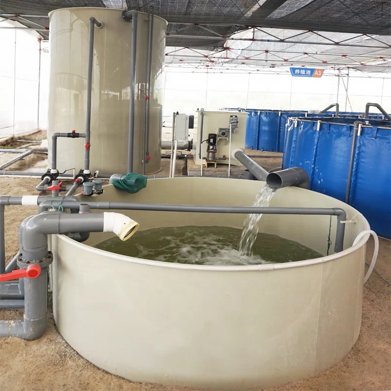eWater RAS Indoor Fish Farm Recirculating Aquaculture System Vannamei Project and Indoor Aquaculture Equipment  In India