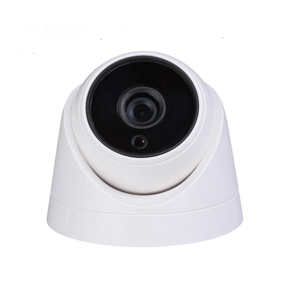 1080P Sony Starlight IMX 307 Indoor dome security camera surveillance 2MP AHD/TVI/CVI Analog 1200TVL