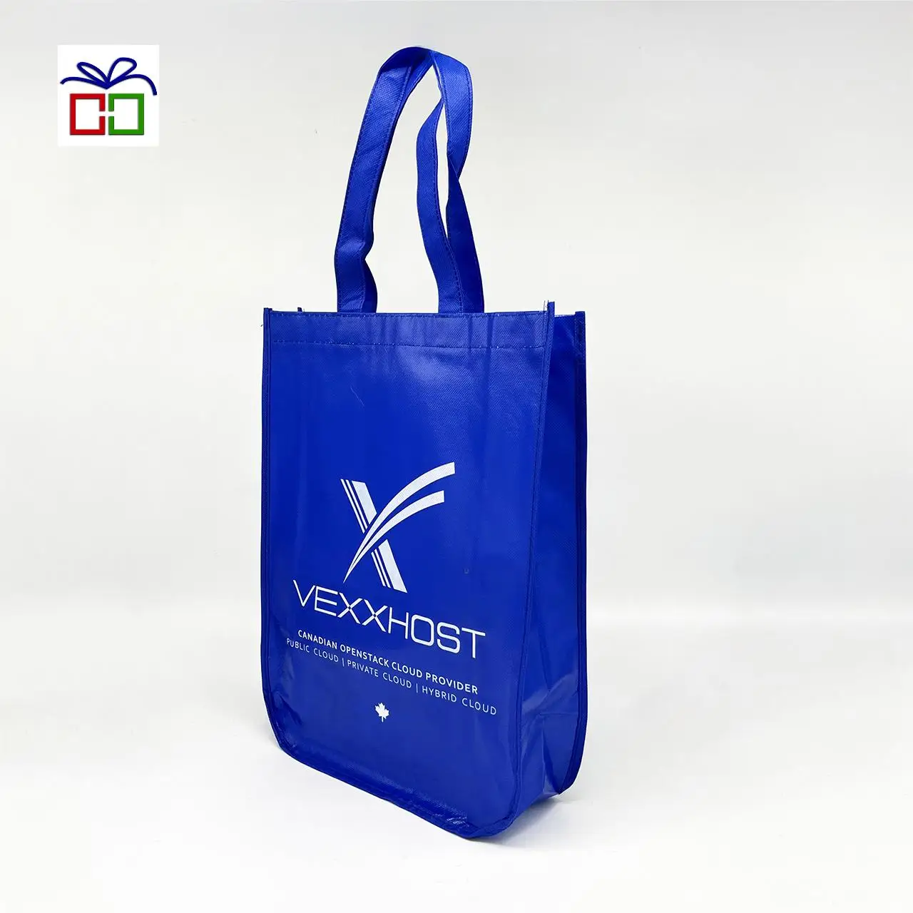 Reusable Printed PP Non Woven lamination Shopping Bag Full Color Printing Reusable PP Woven Bag