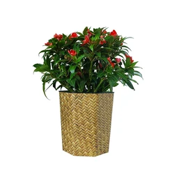 9L big capacity high-end logo custom food packaging bucket exquisite cookie box