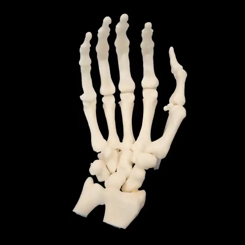 3D печать деталей структуры человеческого тела пользовательские модели Скелет прототип анатомии костей