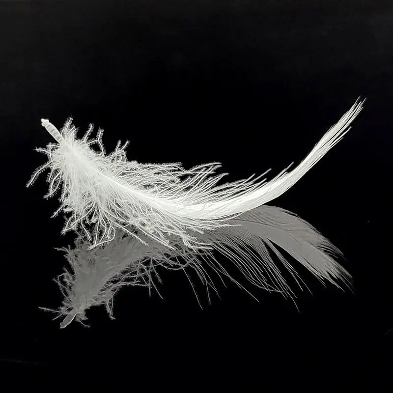  Goose Feather With Good Quality Soft Washed For Pillow Cushion