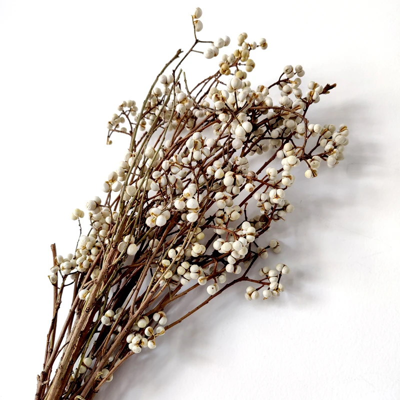 Mini Berries White Fruit Tallow Berries Natural Dried Flowers Long Stem Excoecaria Sebifera For Home Christmas Decoration