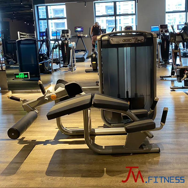 China Dezhou factory direct Dual Fitness Equipment Gym Leg Extension Machine