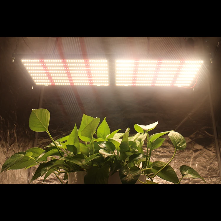 Квадратная плата Meijiu 2019 светодиодная 304 красный 660nm lm561c светодиодный светильник для выращивания рассады орхидей