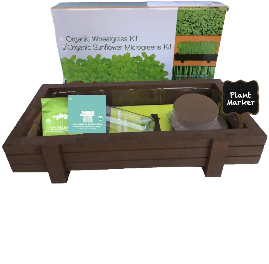 Pretty Wooden Bonsai Planter Planting Accessories Color Box Coconut Bran Block Sign Bonsai Tree Kit
