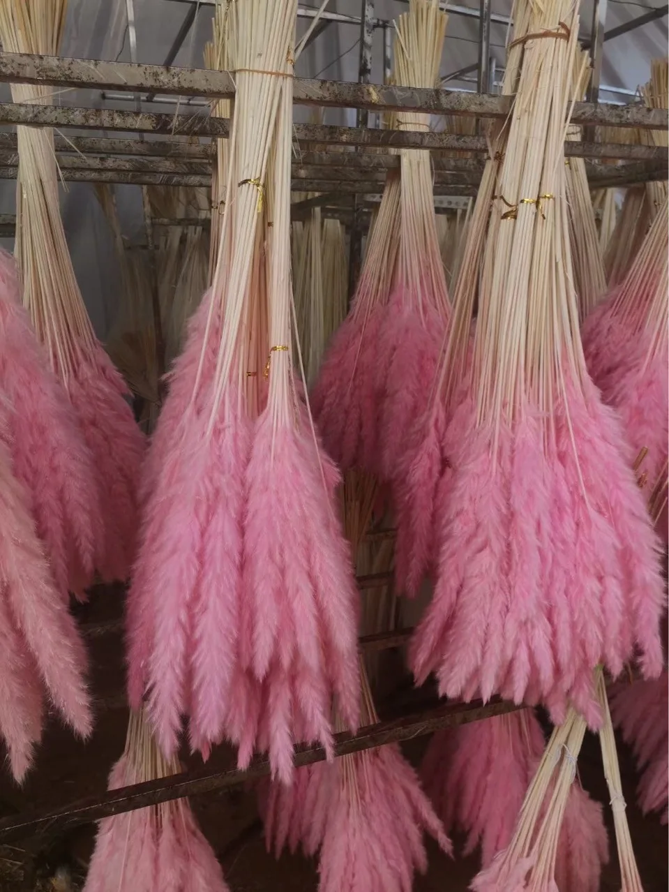 Good Selling Faux Pampas Decor Manufacturers Artificial Feather Pampass Grass