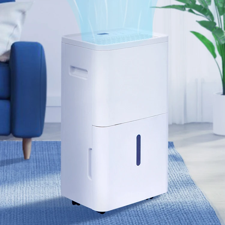 OEM ODM умный Израиль домашний мини перезаряжаемый осушитель