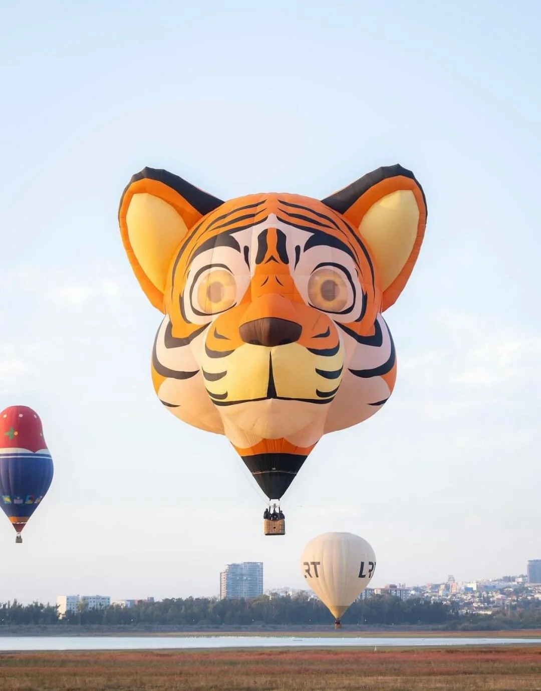 Customized shape, color, size, logo, hot air balloon  Hot Air Balloon    Support video phone factory inspection