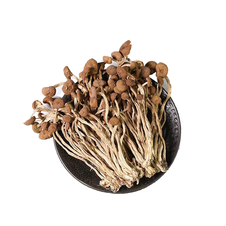 
Wholesale High Quality 100% Natural Organic Fresh Agrocybe Argerita Cylindracea 