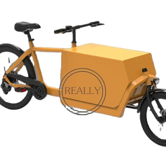 China 250w Mini Cargo Tricycle 2 wheel Electric cargo bicycle Shopping scooter Goods Coffee Bike for Sale