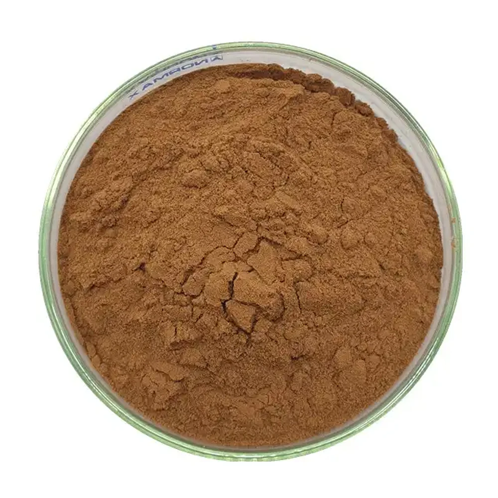 Best Price Lingzhi Polysaccharide 30% 50% Lingzhi Mushroom Extract