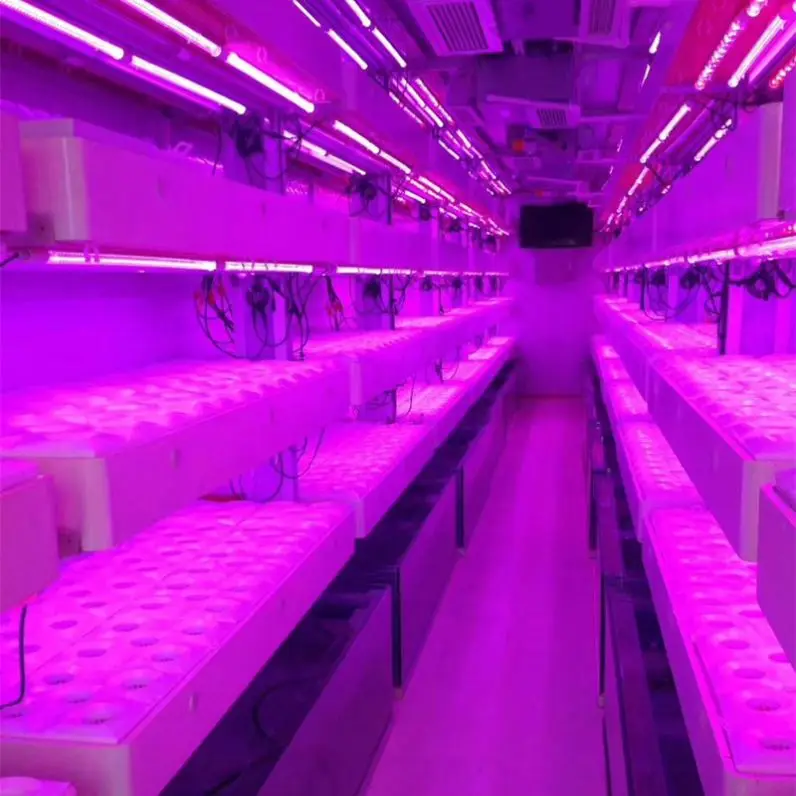 Customizable Green House Container with Hydroponic and/or Aeroponic Planting System for Vegetable growing