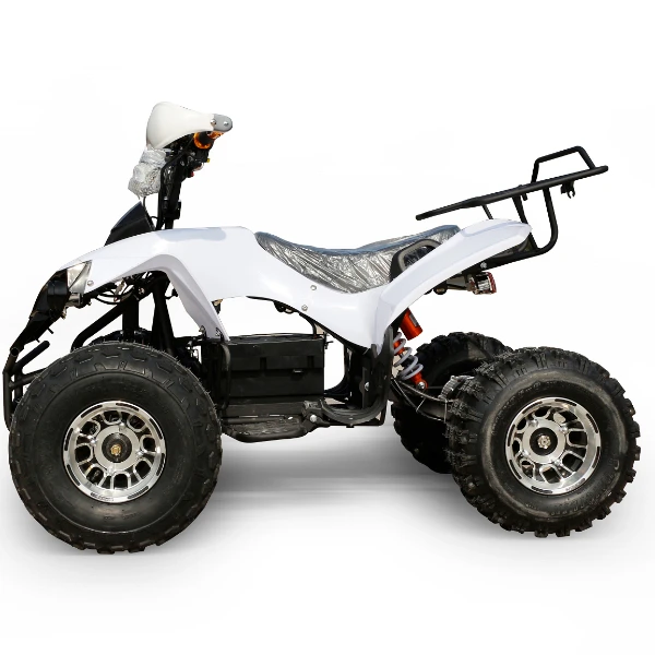 4 wheeler 48 В охотничий квадроцикл 1000 Вт Quad ATV 1200 Электрический для взрослых