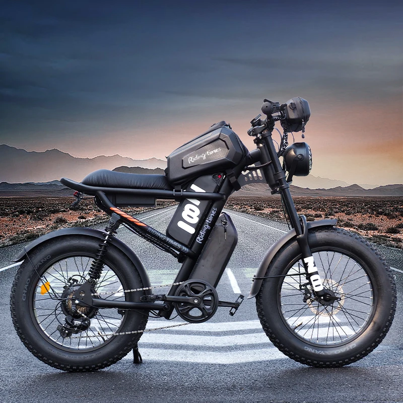 Wholesale 25kmh Fat Dirt e Bike 250W 500W Fast Electric Mountain Bicycle Eu Warehouse With Dual Battery