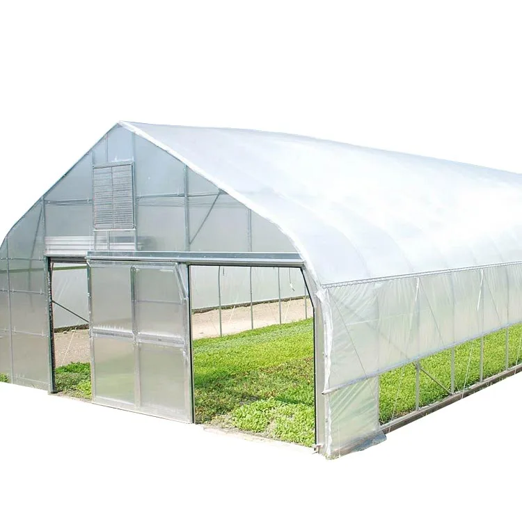 High Strength Agricultural Poly Tunnel Green Customize PE Film Large Planters Sides Ventilation with Roll up Machine 8m 3.3(M)