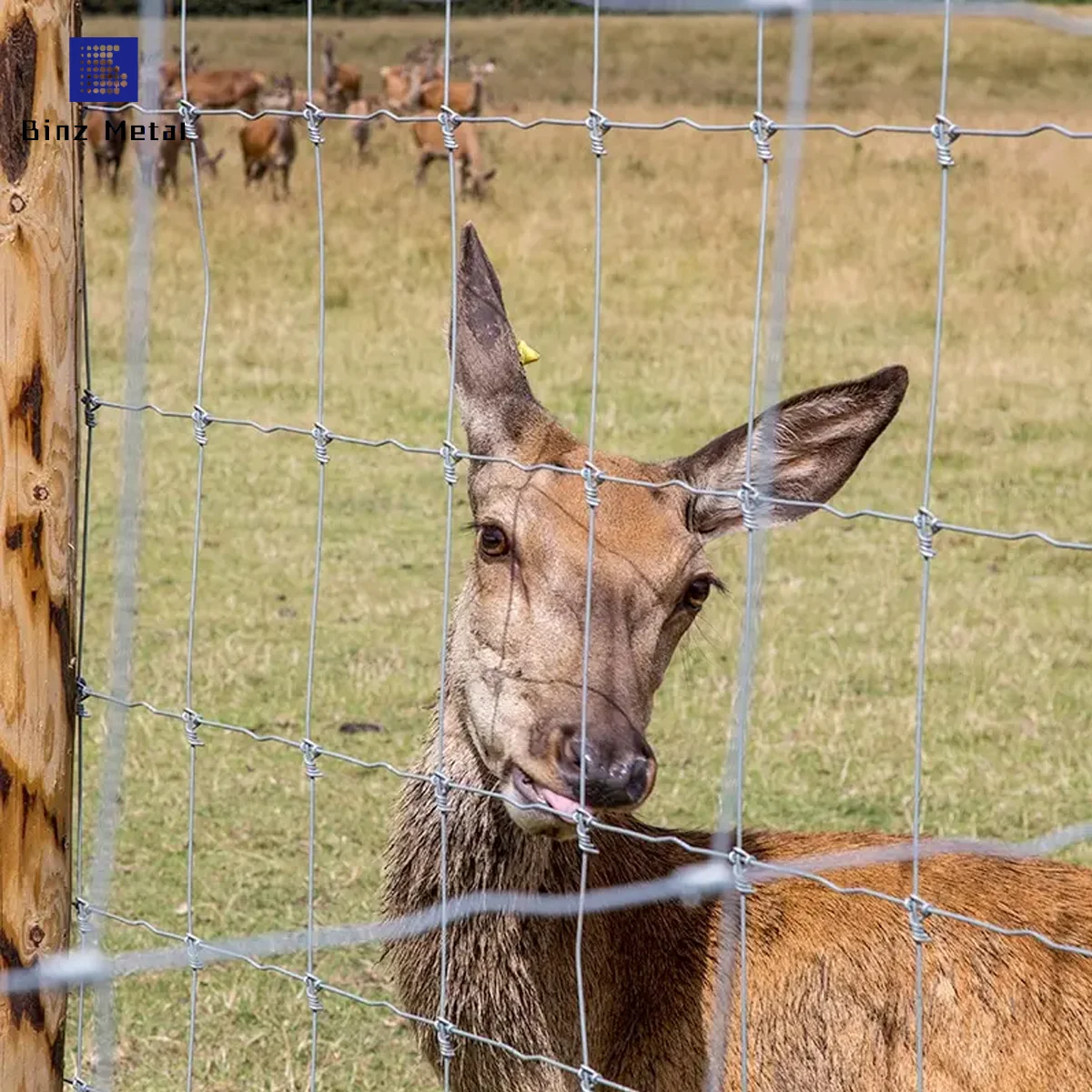 Veldspan Farm Filed Fence Cattle Sheep Deer Farm Fence