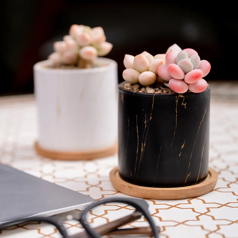 Wholesale Simple Color Ceramic Succulent Flower Pot