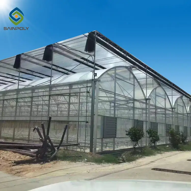 Low cost green house mushroom growing greenhouse