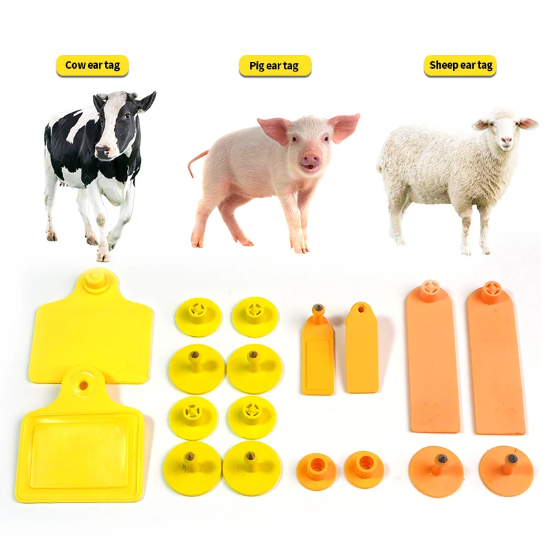 BoHang RD-BDW28070 Factory Wholesale Price Animal Ear Tags Cattle Animal Ear Tags