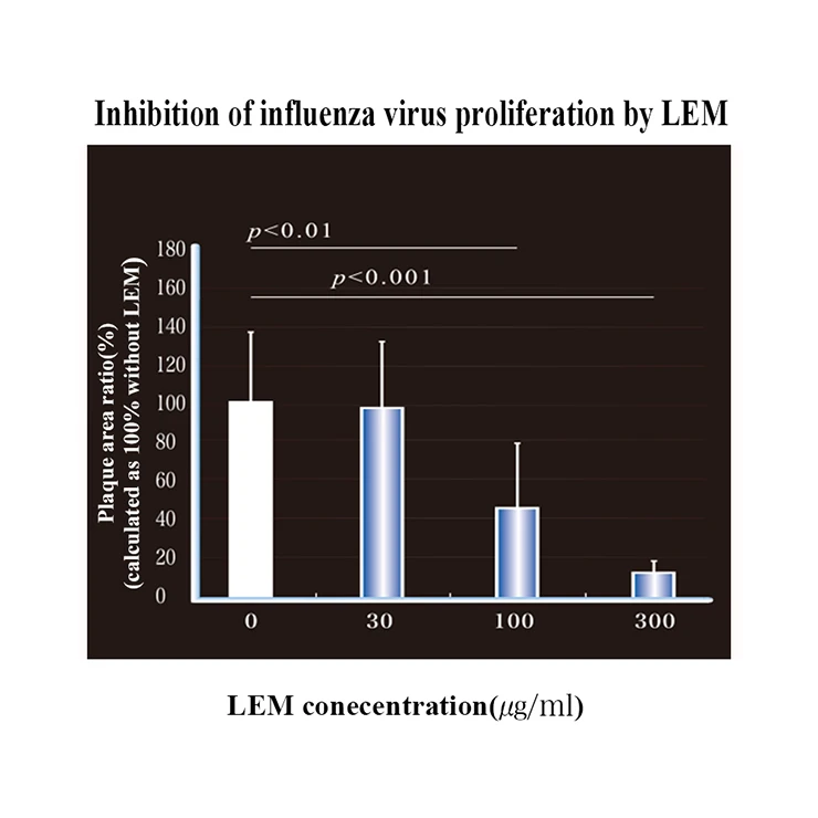 Medical care antioxidation anti-cancer shiitake mushroom mycelium
