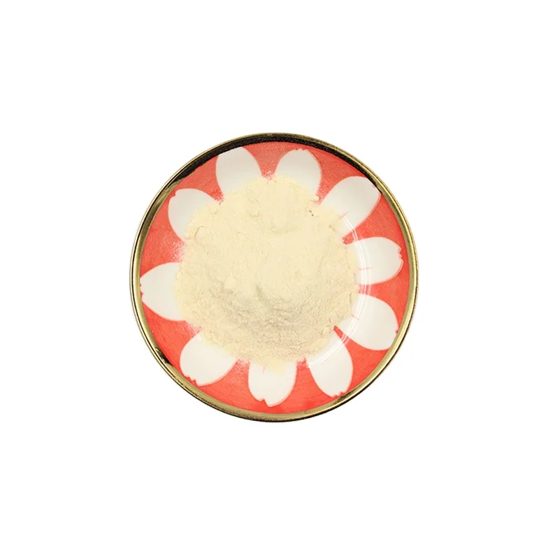 Oem Food Supplement Freeze-Dried 10 Billion CFU/g Lactobacillus Salivarius Probiotic Powder