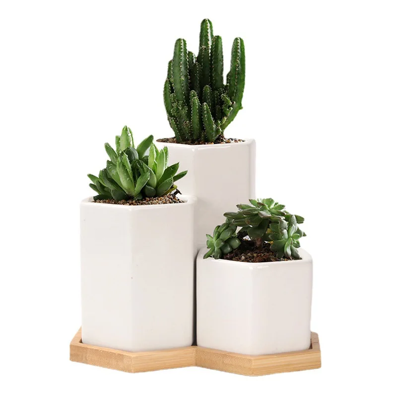 NISEVEN New Design 3pcs/Set White Hexagon Ceramic Pots With Bamboo Tray Succulent Pot Ceramic Flower Pot
