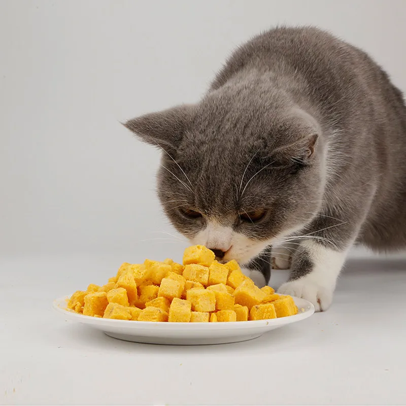 Best Selling  Freeze-dried Egg Yolk cat dog treats Made In China delicious healthy dog snacks Yolk