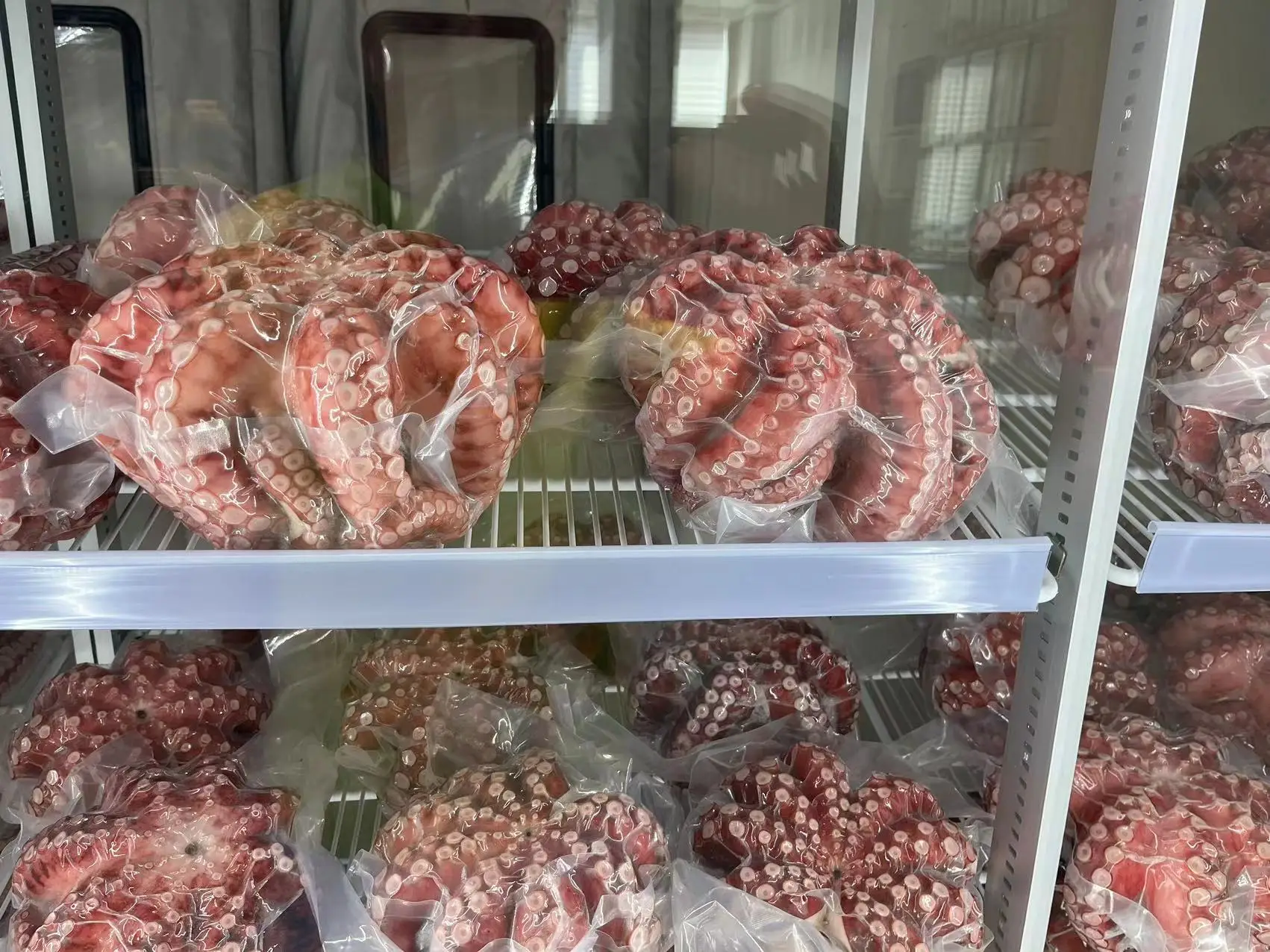 Frozen cooked  octopus WR IQF Cooked Octopus WHOLE ROUND  Octopodidae