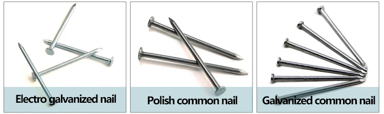 steel common wire nails