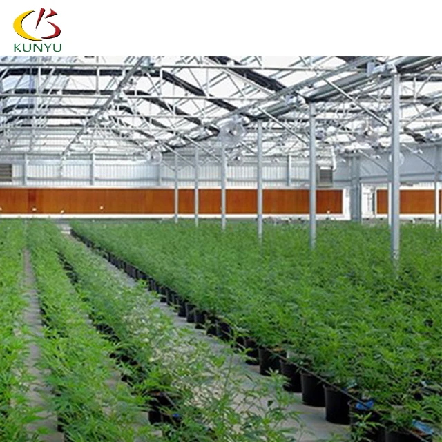 Hemp Growing Greenhouse Commercial Farming Blackout Green House For Sale