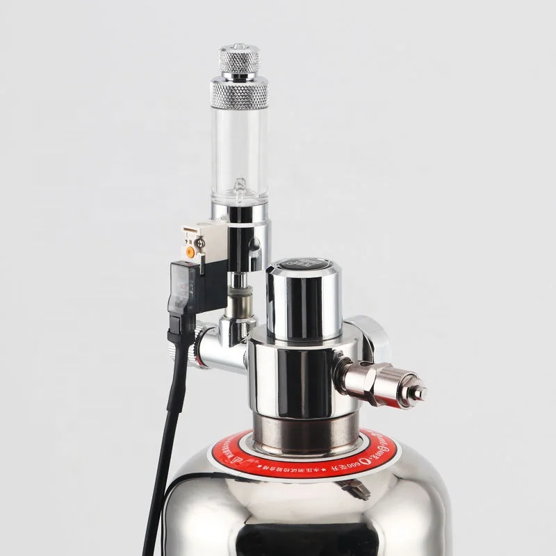 CO2 Cylinders New Design Diy co2 Food Grade at Home Solenoid CO2 Regulator Generator for Aquarium