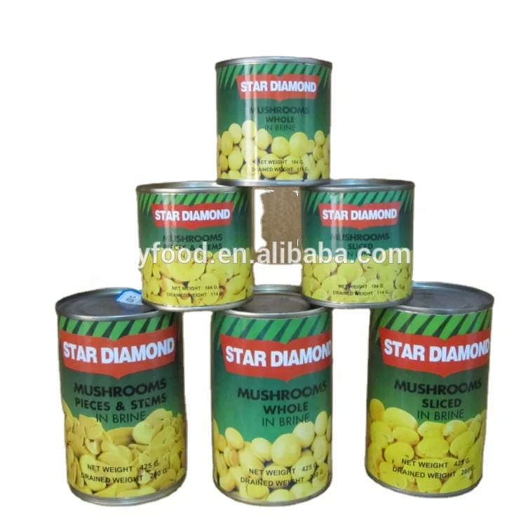 
New Crop canned mushroom champignon in brine 