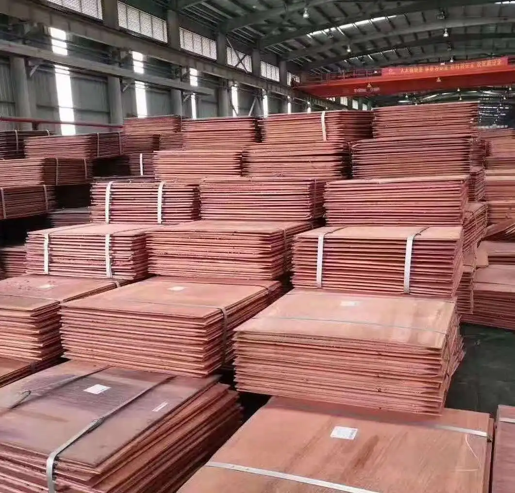 Copper Strips 99.9% Pure Copper Coils C1100 C1200 C1020 C519    copper cathode price