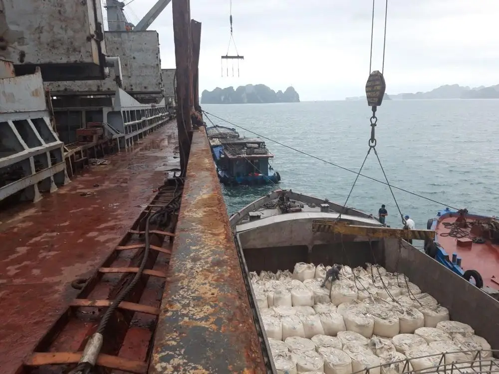 Мешок 40 кг вьетнамского цемента Портленда 42,5 р/52,5 Н