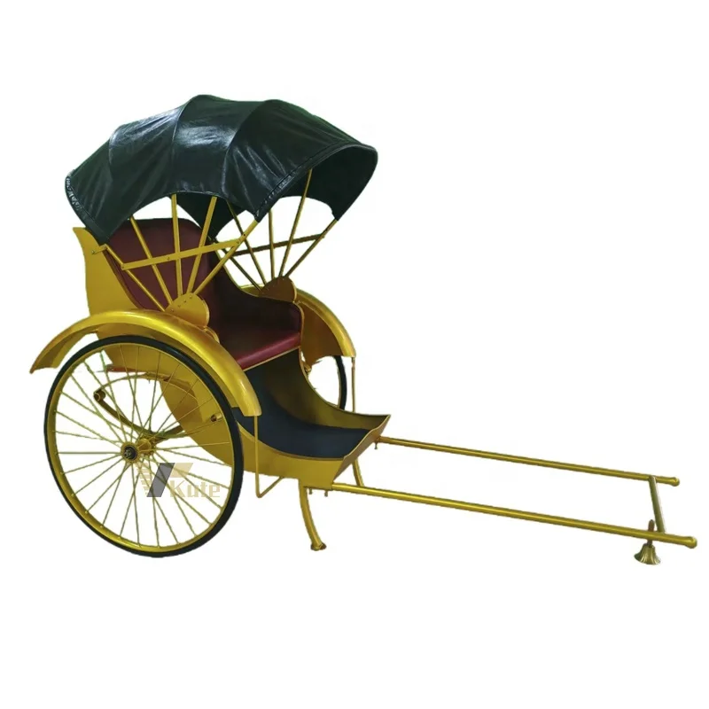 Golden 2 wheel hand truck rickshaw for Centre street pink wheel barrow for airport sightseeing trolley