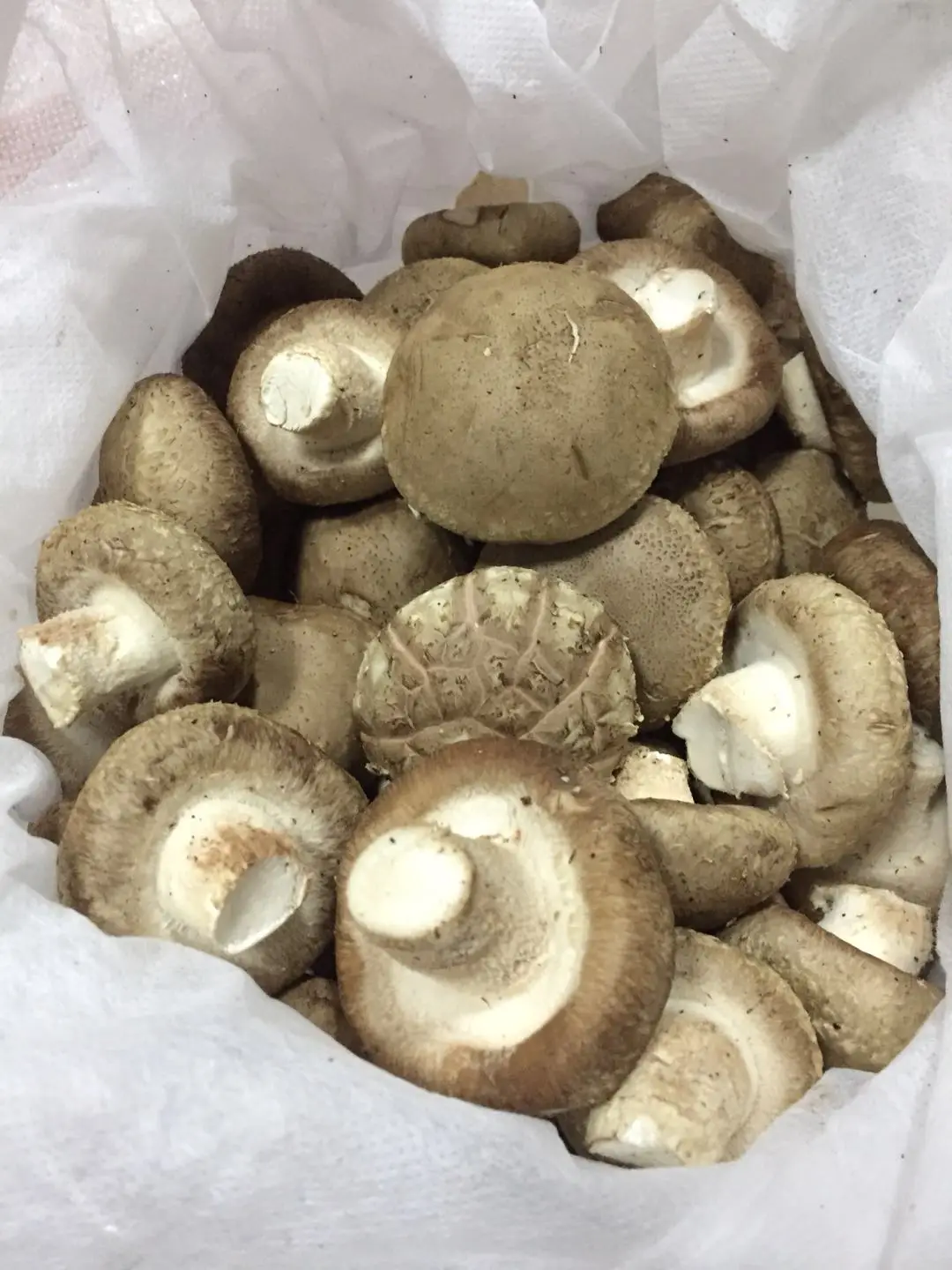 Exotic Chinese Factory Growing Flower Fresh Shiitake Mushroom Wholesale Price