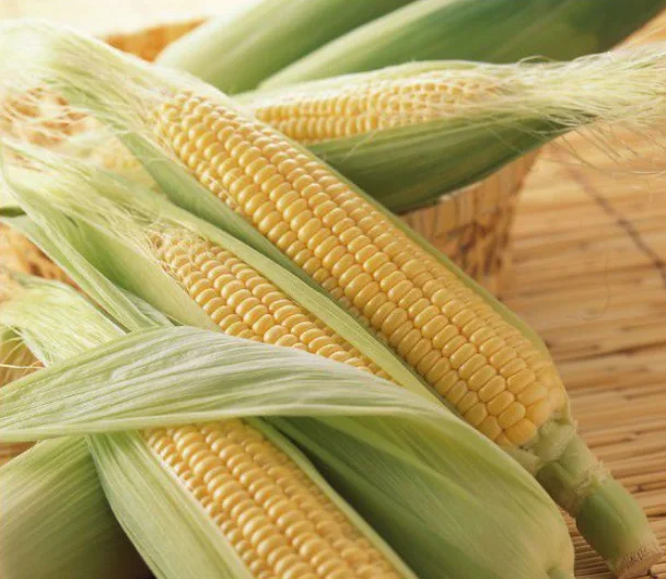 Сертификат IP, кукурузный органический материал, заменяющий порошковый мгновенный зерно для завтрака 200 г