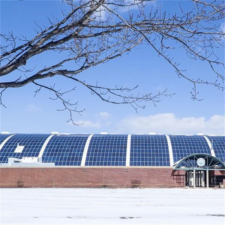 High efficiency 12v 24v 36v 48v 100w 200w 250w wholesale pv panel thin film 100w soft mono sunpower flexible solar panels 100w