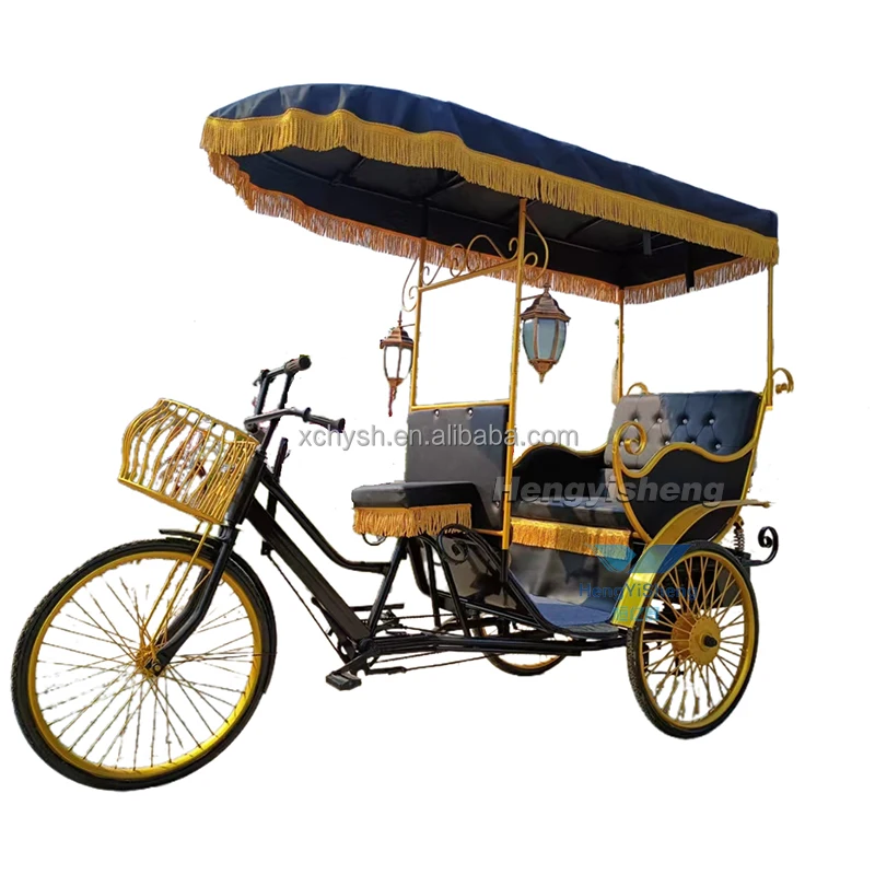 4 Person Bikes Family Touring Bicycle Classic Appearance/Touring Bicycle Cycling Electric Bike in Park for Sightseeing