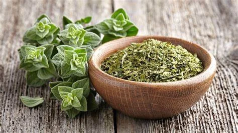 10ml Bottle Organic Oregano Oil with High Carvacrol, Thymol 100% Pure and Natural Oregano Oil For Food Additive Medical Oil