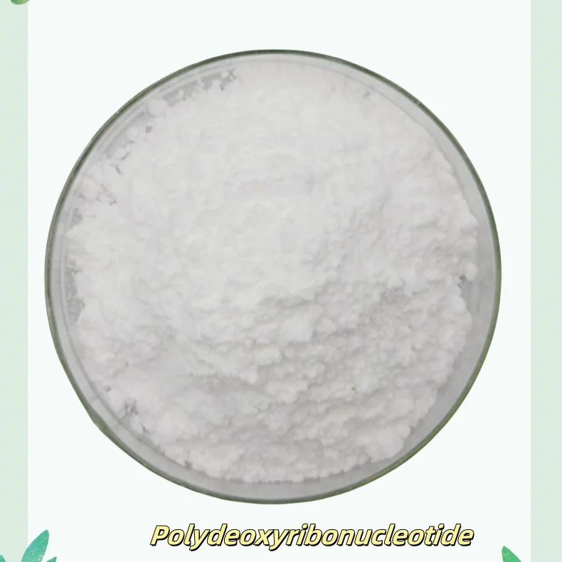 Cosmetic Grade SkinCare DNA Salmon PDRN Polydeoxyribonucleotide Powder Cas100403-24-5 for for Anti Aging Skin Rejuvenation