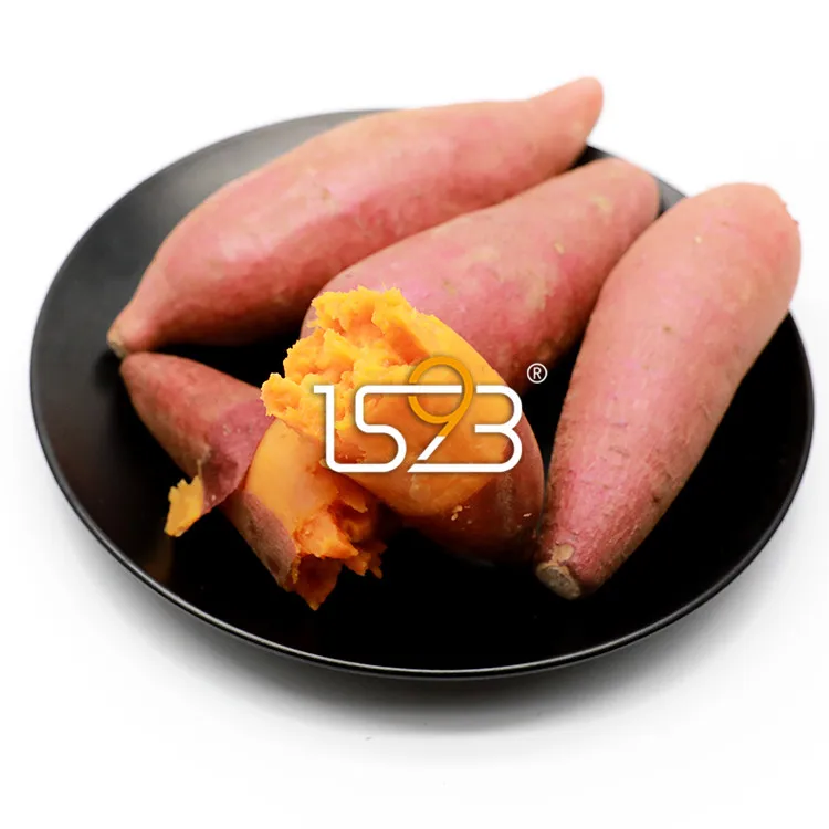 
Best price standardized sugar return technology low-calorie fresh fragrant sweet red potatoes 