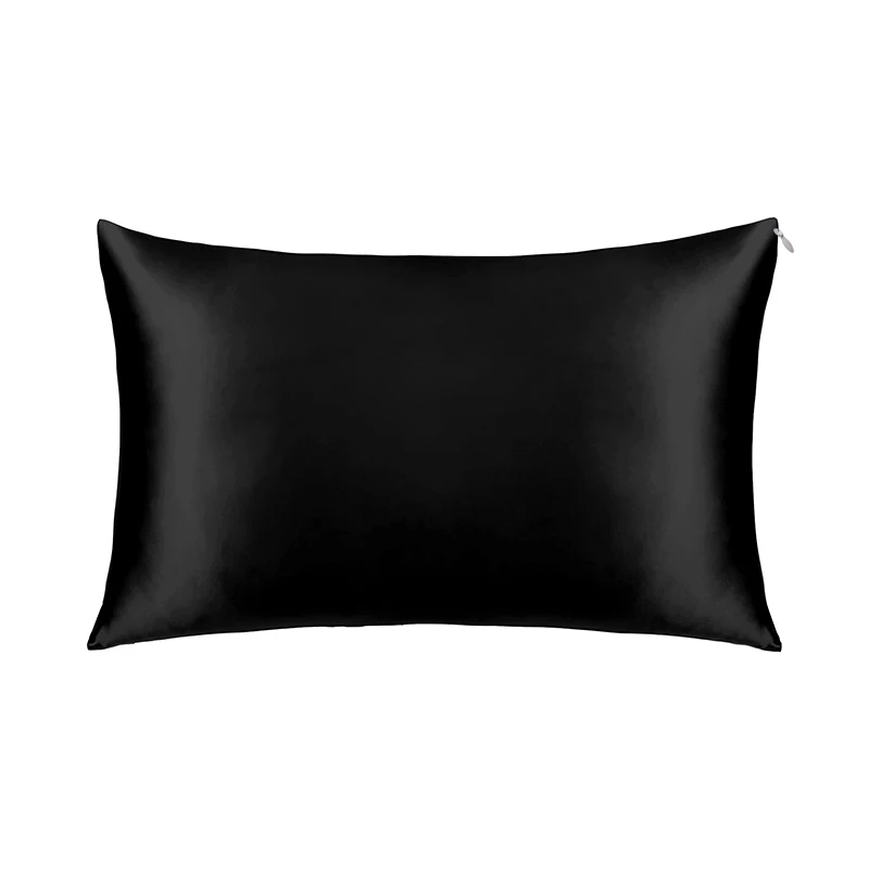 Natural Luxury 19MM 100% mulberry silk Zipper Pillow Case smooth Silk Pillowcase