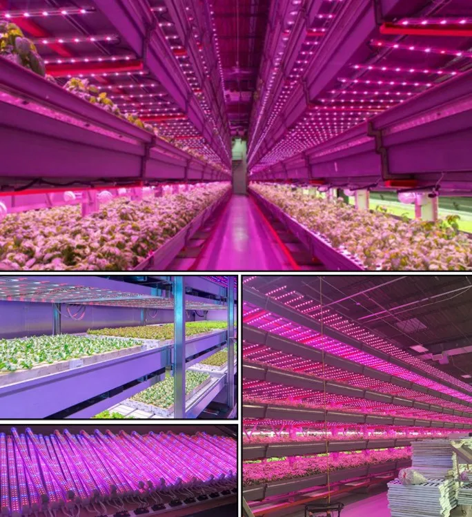 led grow lights full spec trum led grow lights sunlight full spectrum