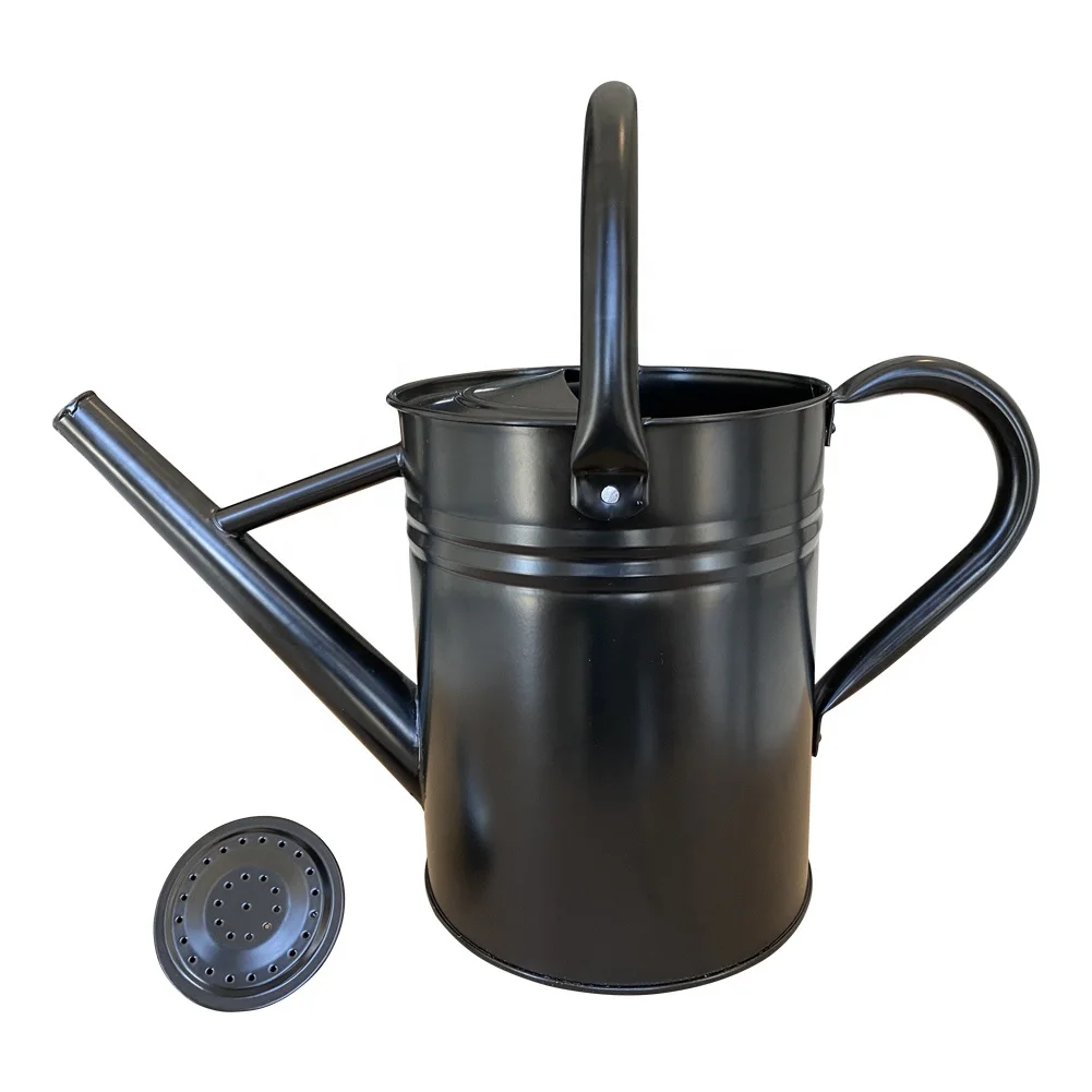 Оптовая цена на садовую бронзовую металлическую комнатную и наружную поливку л