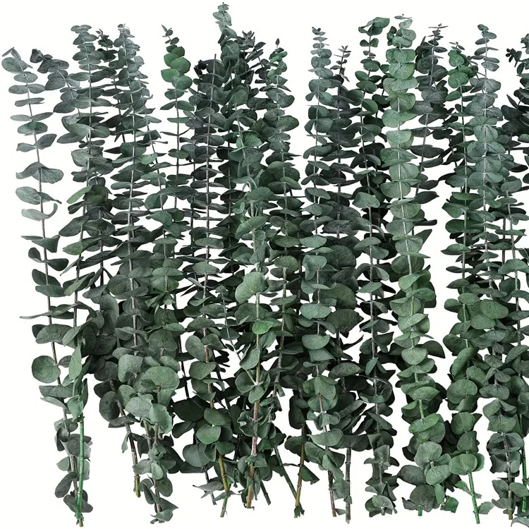 Natural Green Eucalyptus Stems Greenery Leaves Dried Flowers Preserved Eucalyptus Branches for Wedding Home Decoration