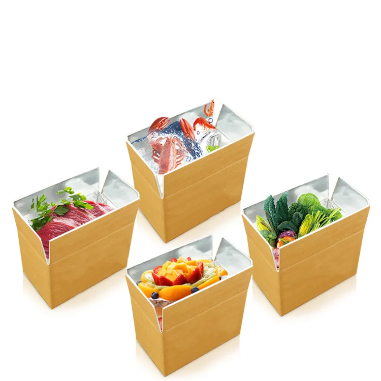 Heat insulation box lined with ice bag for food transportation, insulation carton, fruit, vegetable and meat ice fresh packaging