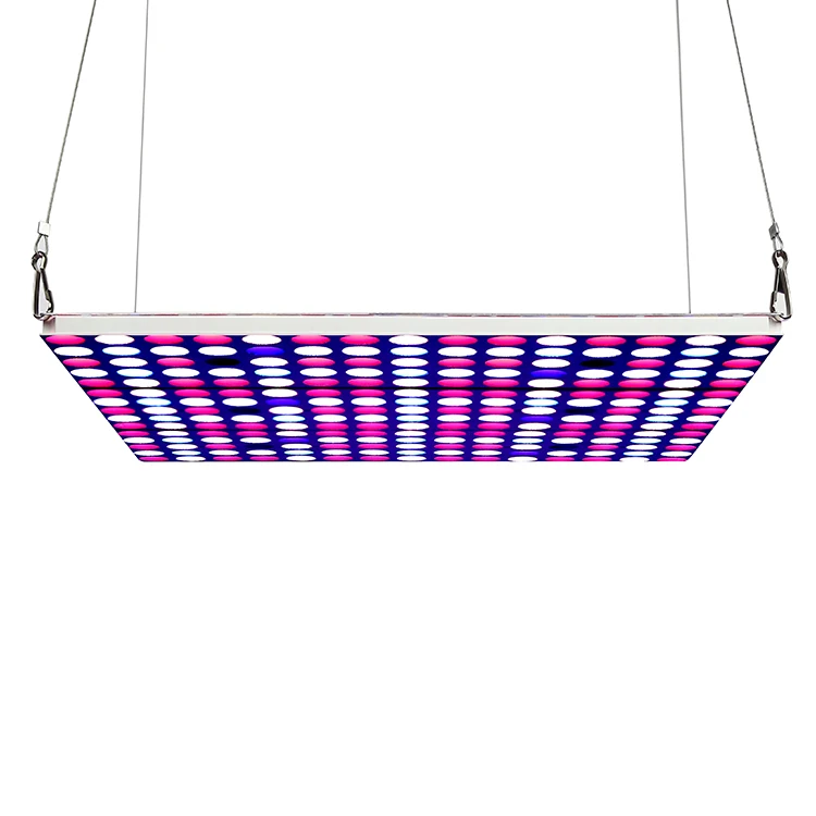 CFGROW 300W Full Spectrum Phyto Lamp LED Grow Light for Indoor Plants Flowers Greenhouse Growth Tent