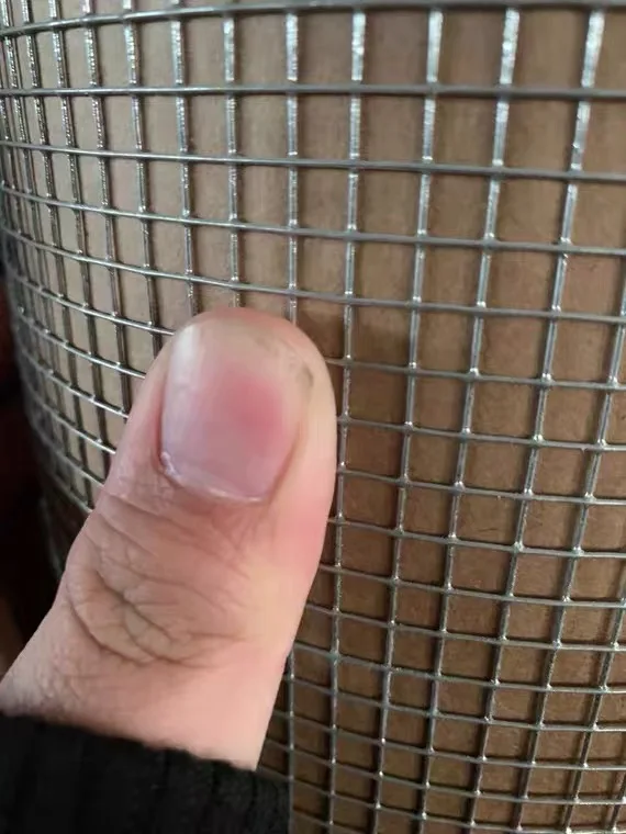 Small Hole Heavy Duty Hot Dipped Galvanized Hardware Cloth/animal wire mesh/fram fence mesh